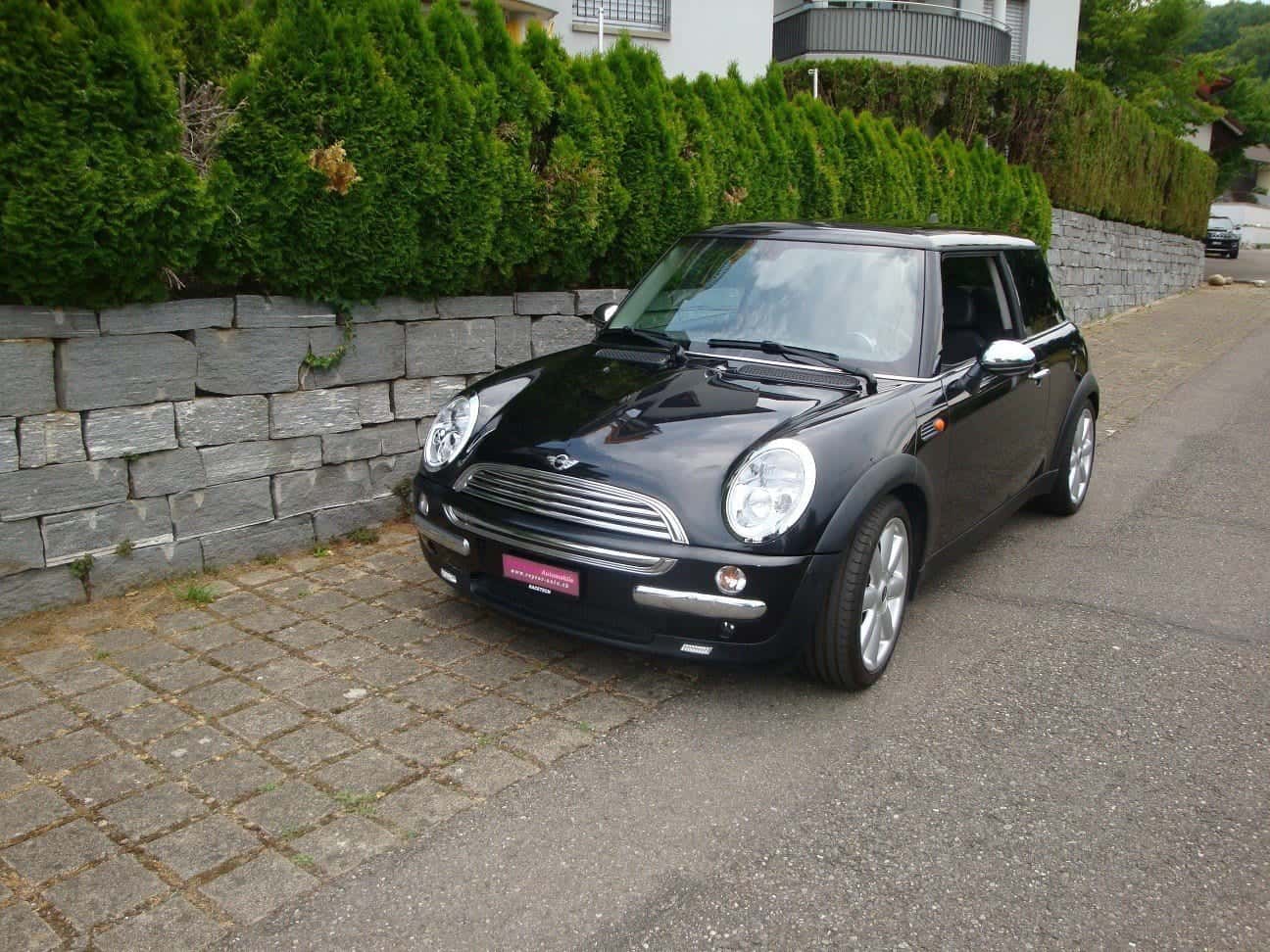 Mini Mini
