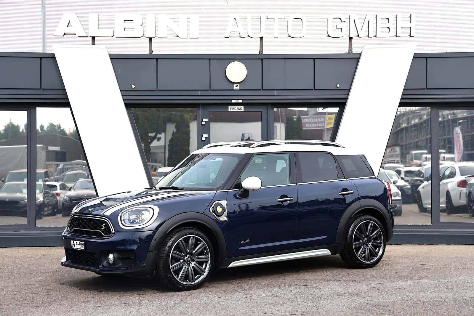 Mini Mini Countryman
