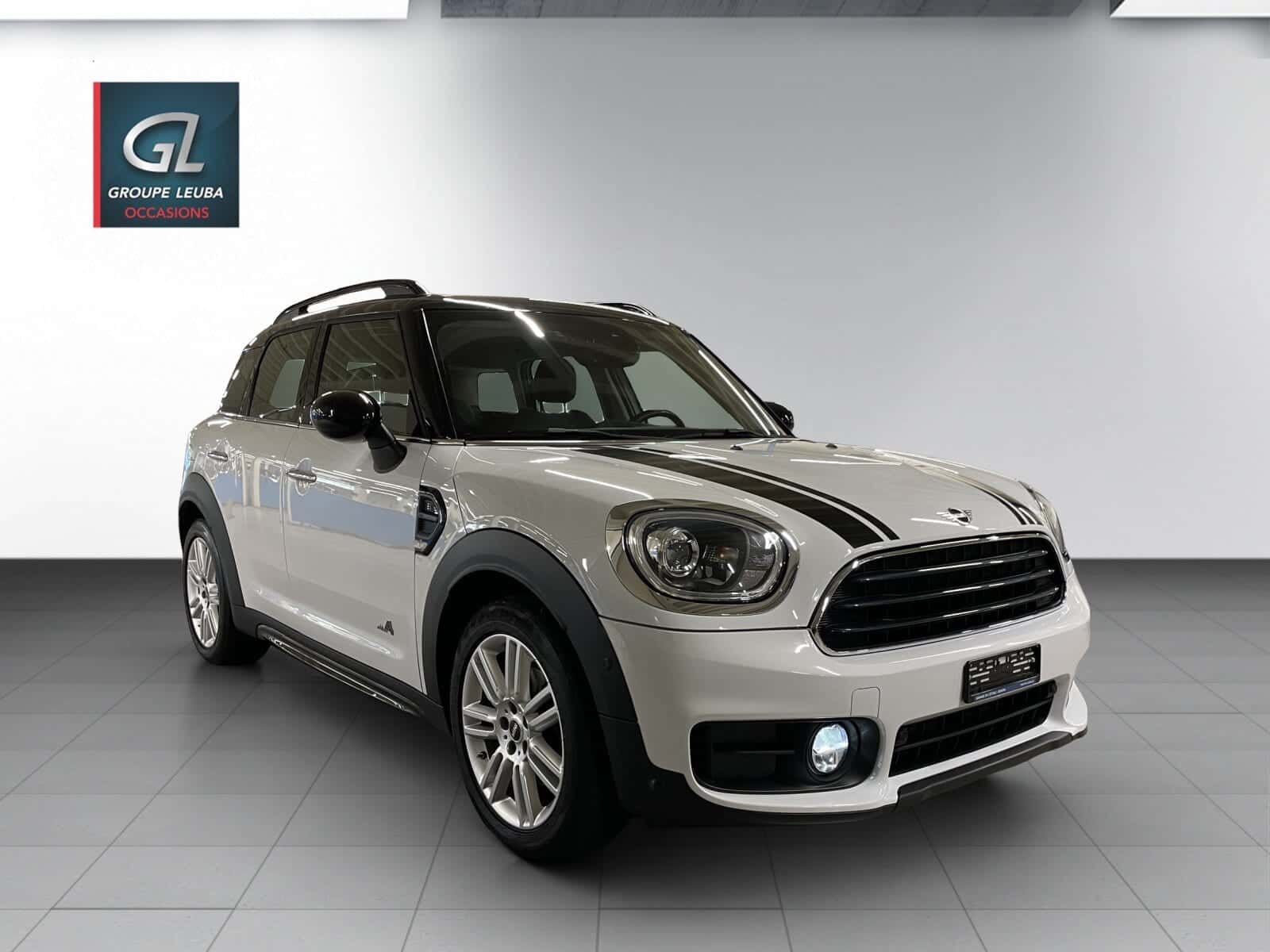 Mini Mini Countryman