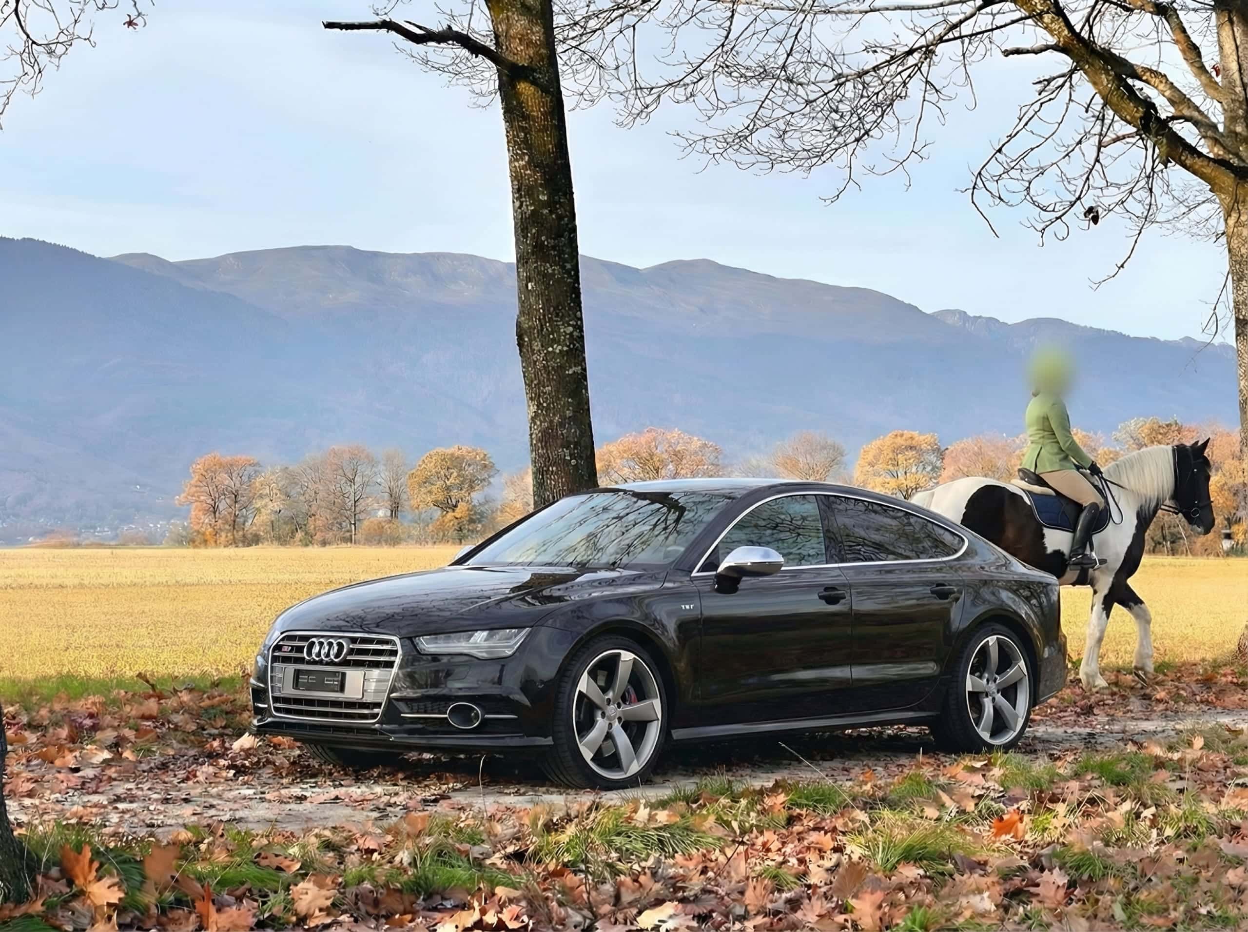 Audi S7
