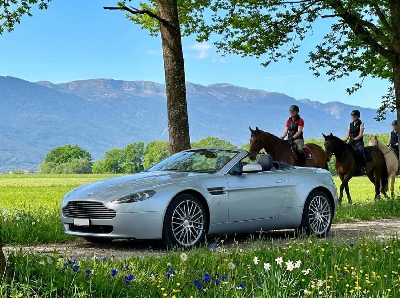Aston Martin V8/V12 Vantage
