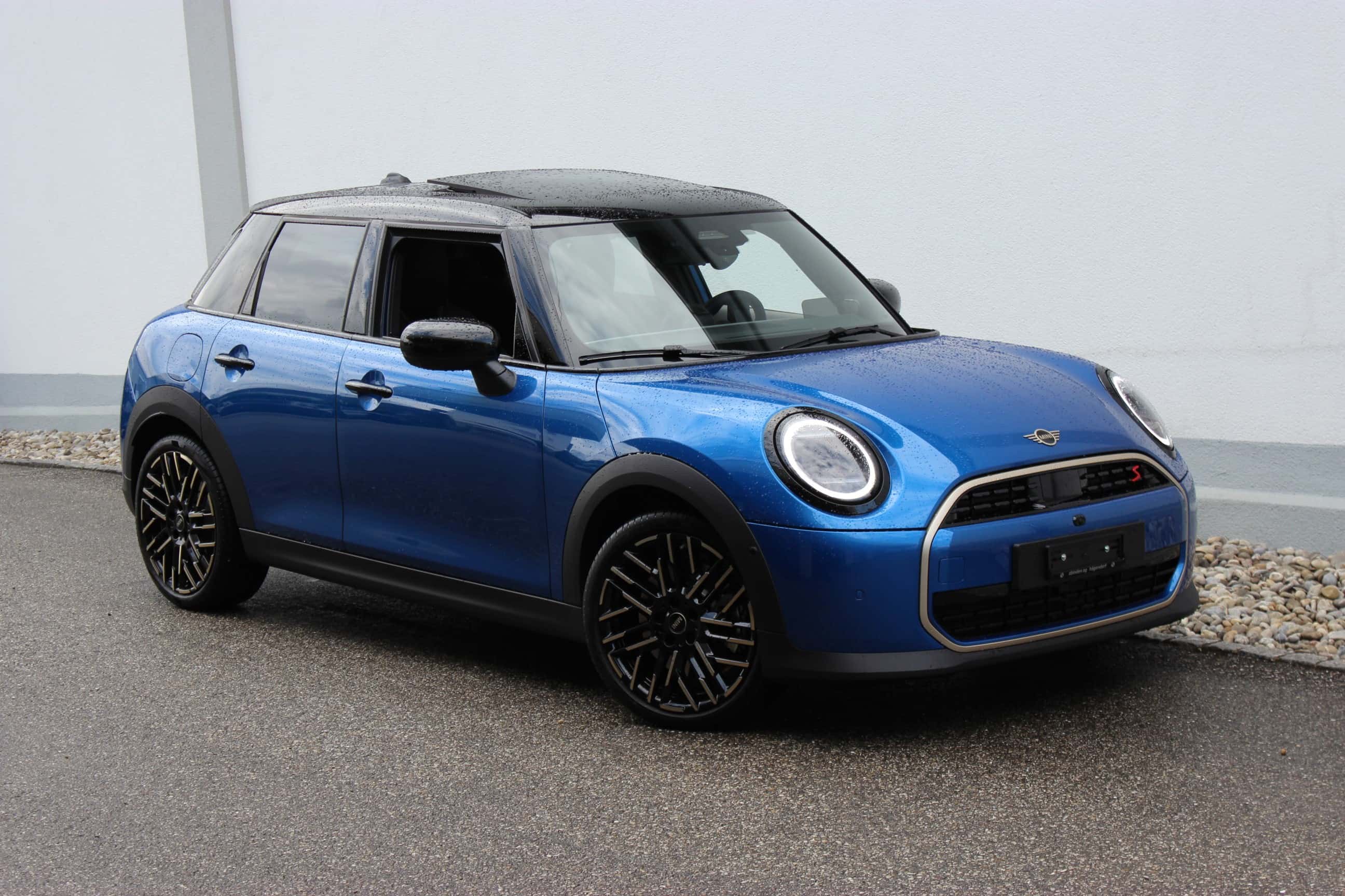 Mini Mini