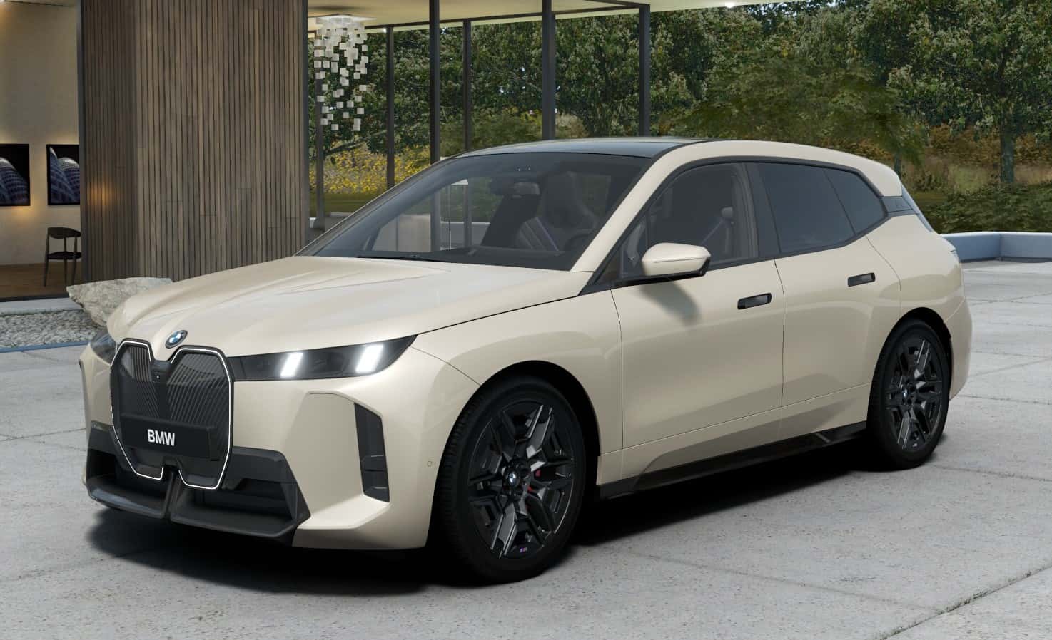 BMW iX