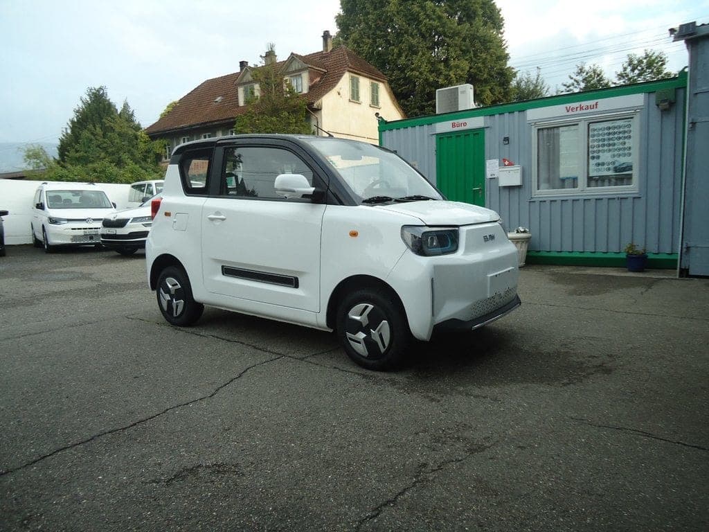 BAW Pony Pony Electric