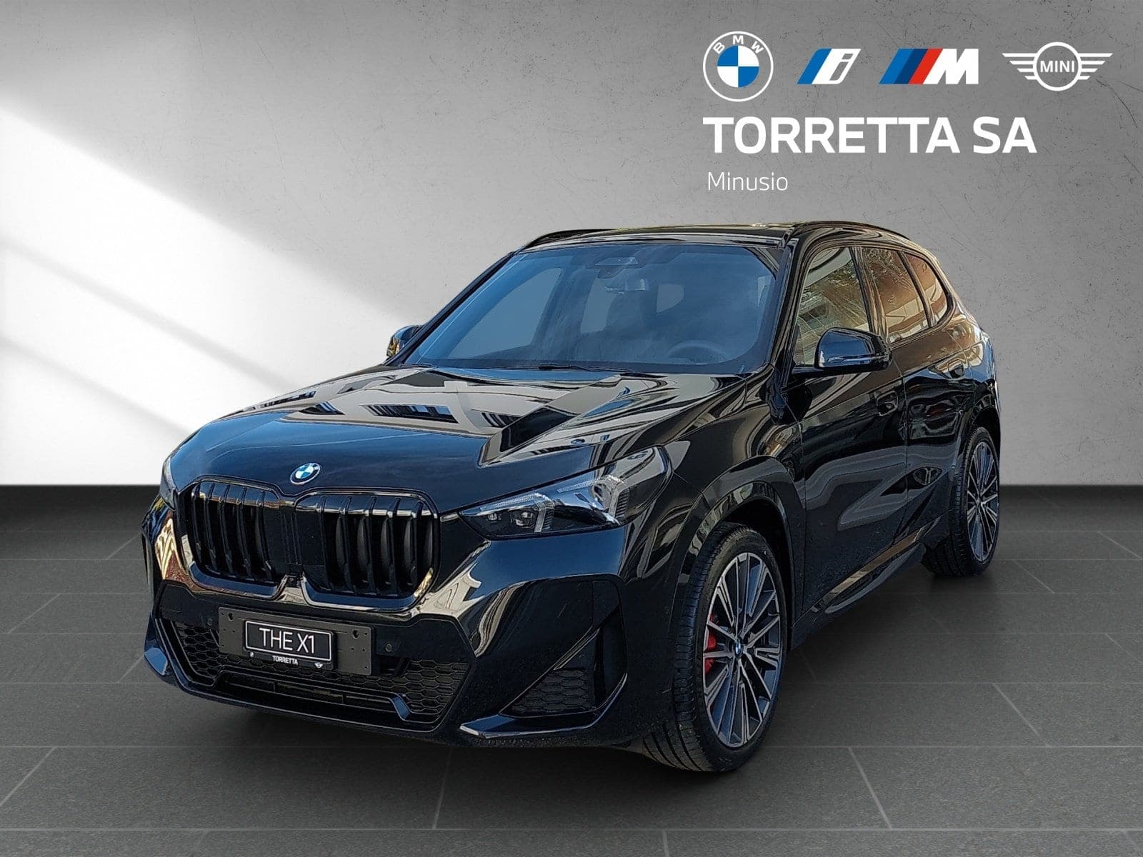 BMW X1 X1 20d 48V M Sport Pro