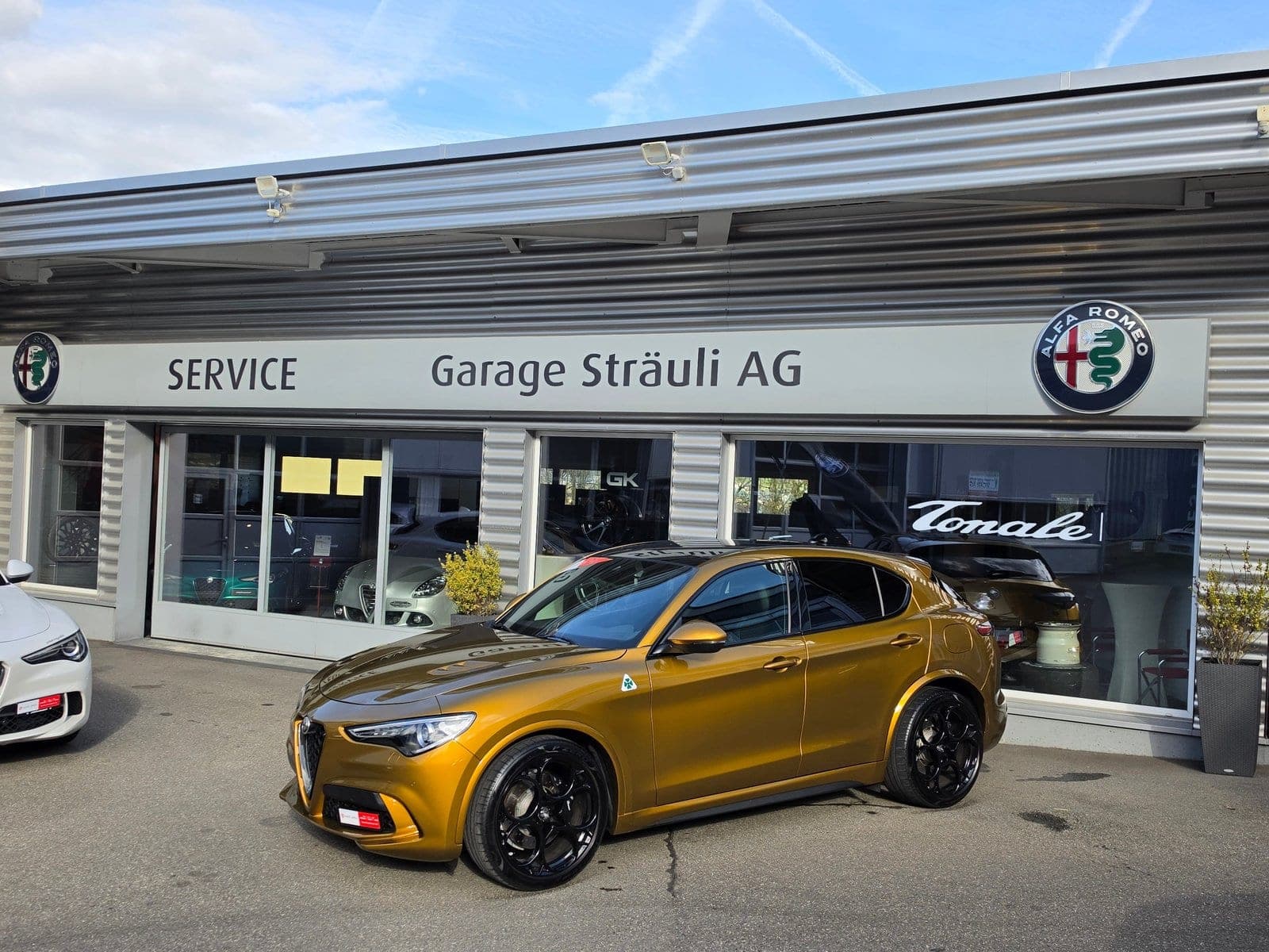 Alfa Romeo Stelvio Stelvio 2.9 V6 Quadrifoglio Sky 21 Zoll Q4