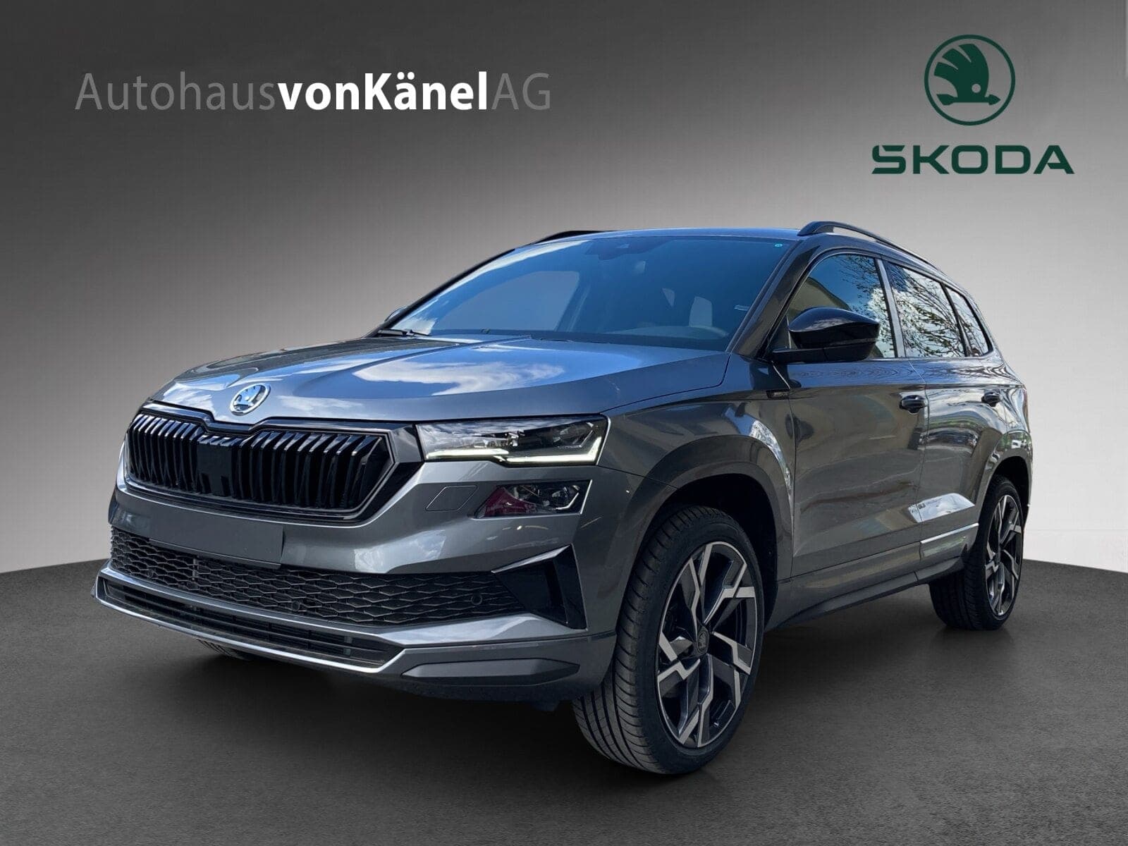 Skoda Karoq Karoq Sportline