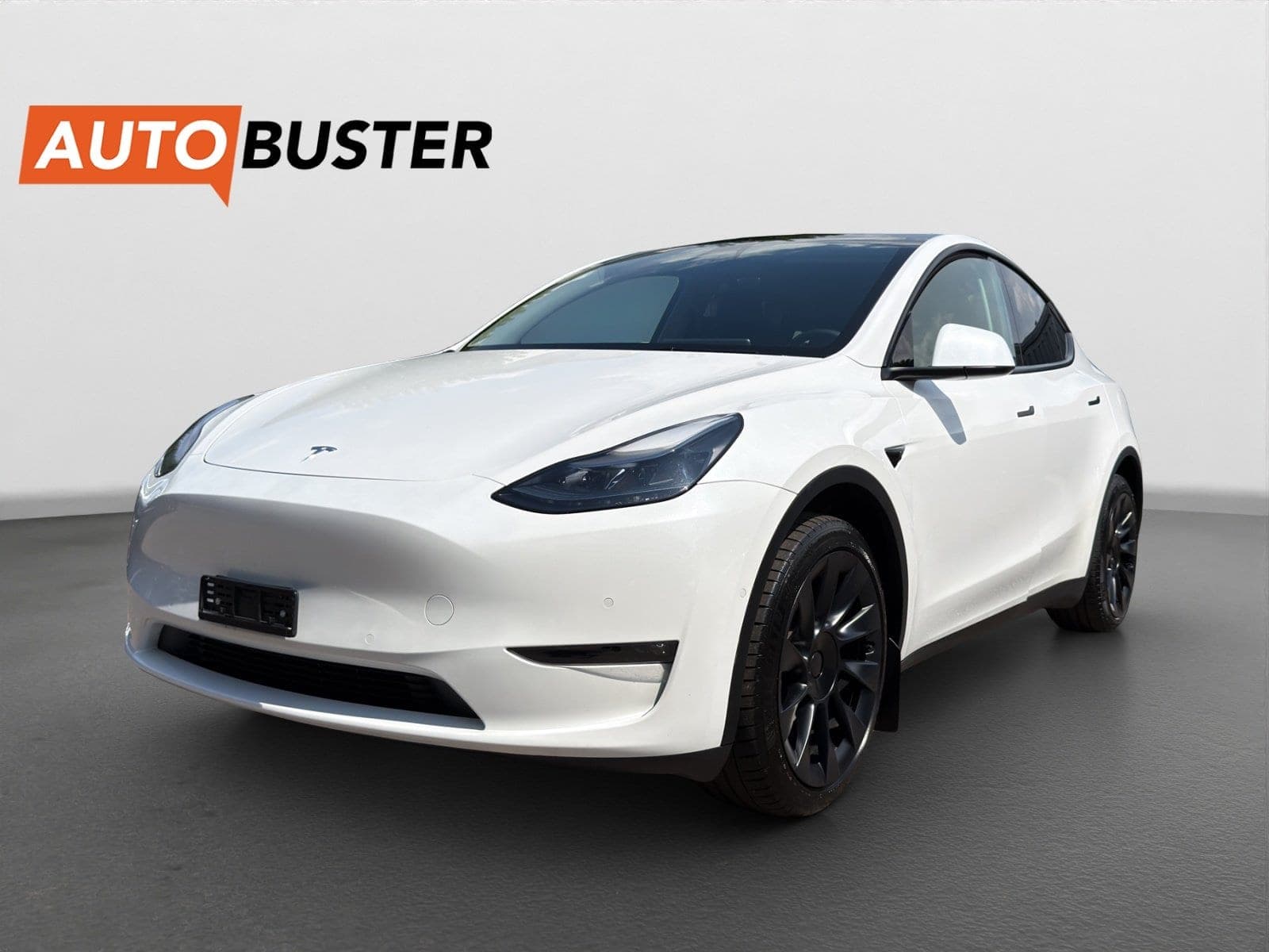 Tesla Model Y Model Y Long Range