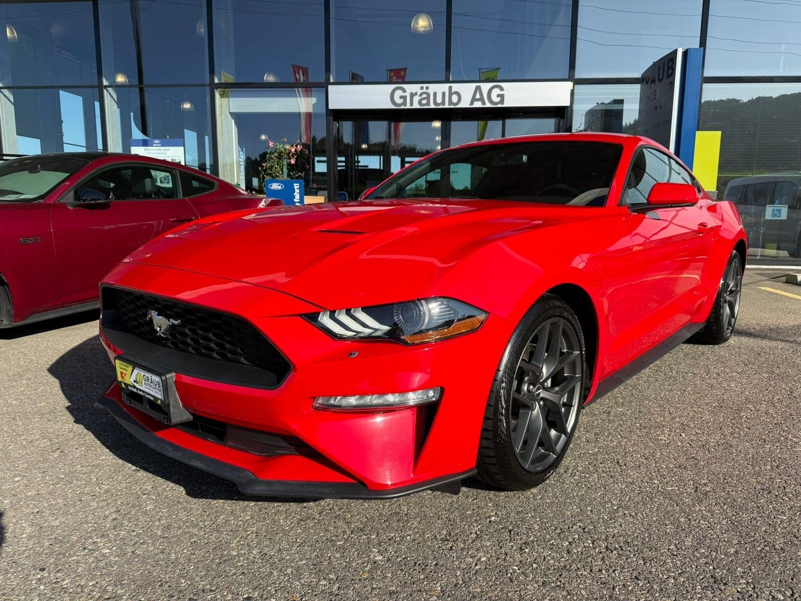 Ford Mustang Mustang Fastback 2.3 Automat - US IMPORT / sehr gepfleg