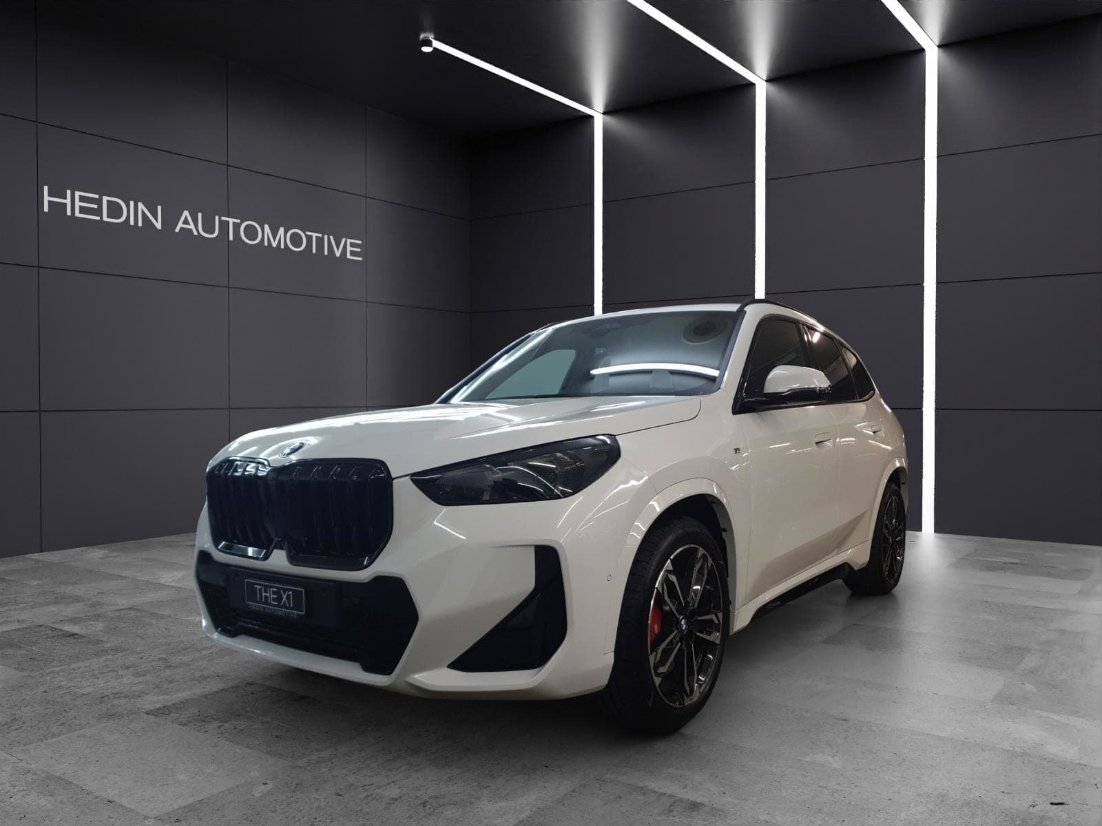 BMW X1 X1 20d xDrive