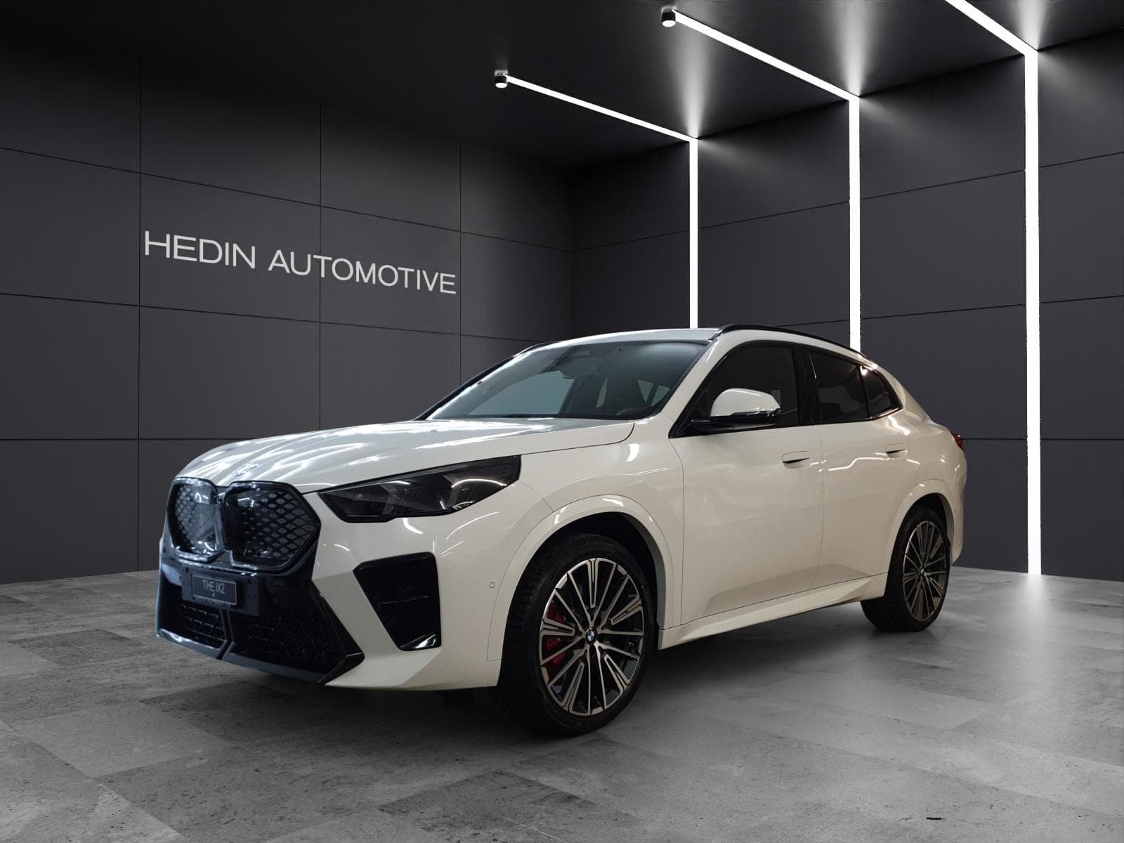 BMW iX2 iX2 xDrive30