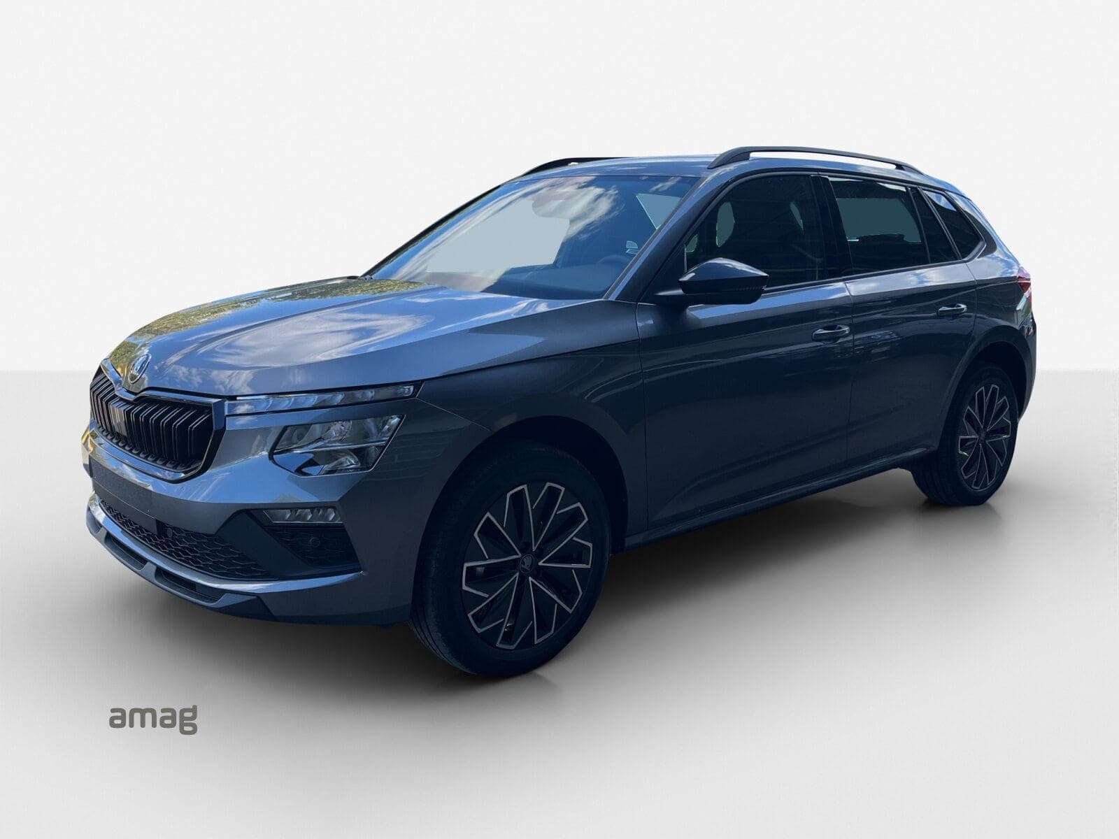 Skoda Kamiq Kamiq Dynamic (Netto)