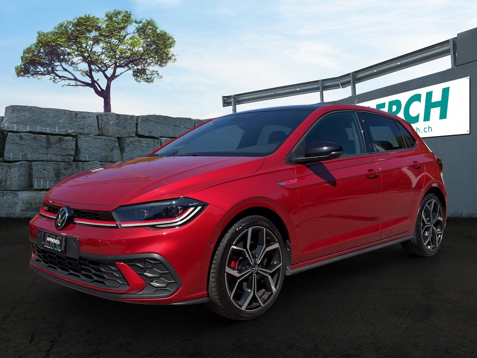 VW Polo Polo 2.0 TSI GTI DSG
