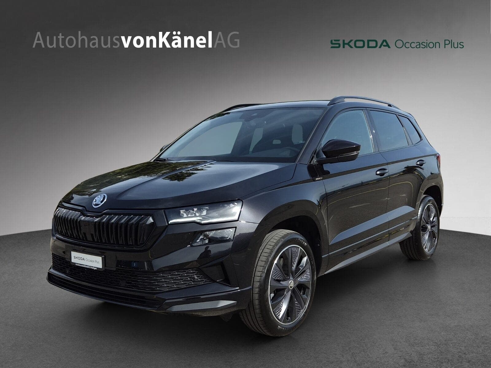 Skoda Karoq Karoq Sportline