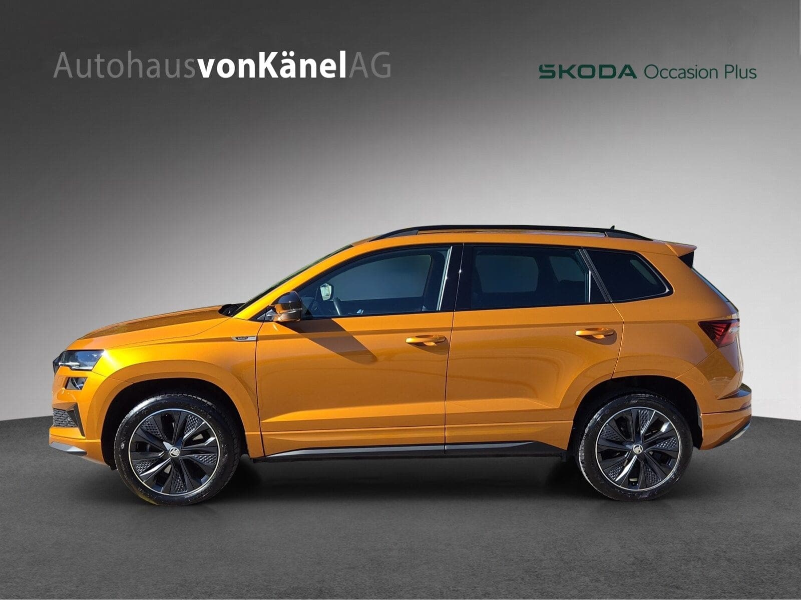 Skoda Karoq Karoq Sportline