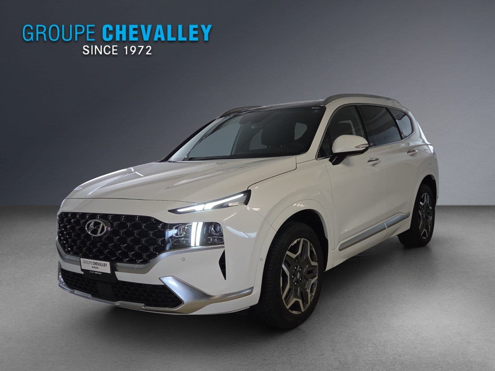 Hyundai Santa Fe Santa Fe 1.6 HEV Vert 4WD