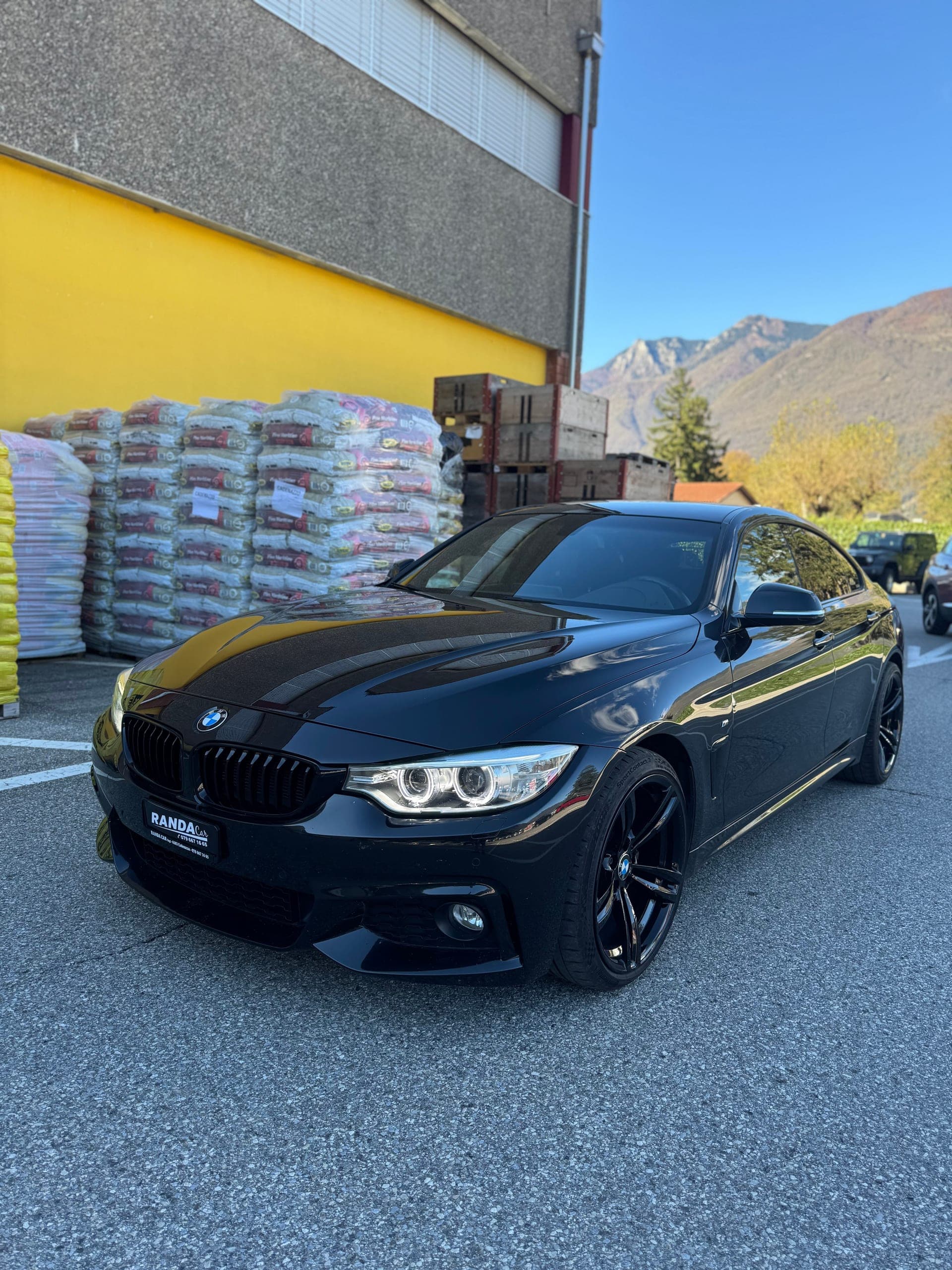 BMW 4er BMW 420d Gran Coupé xDrive Sport Line Steptronic