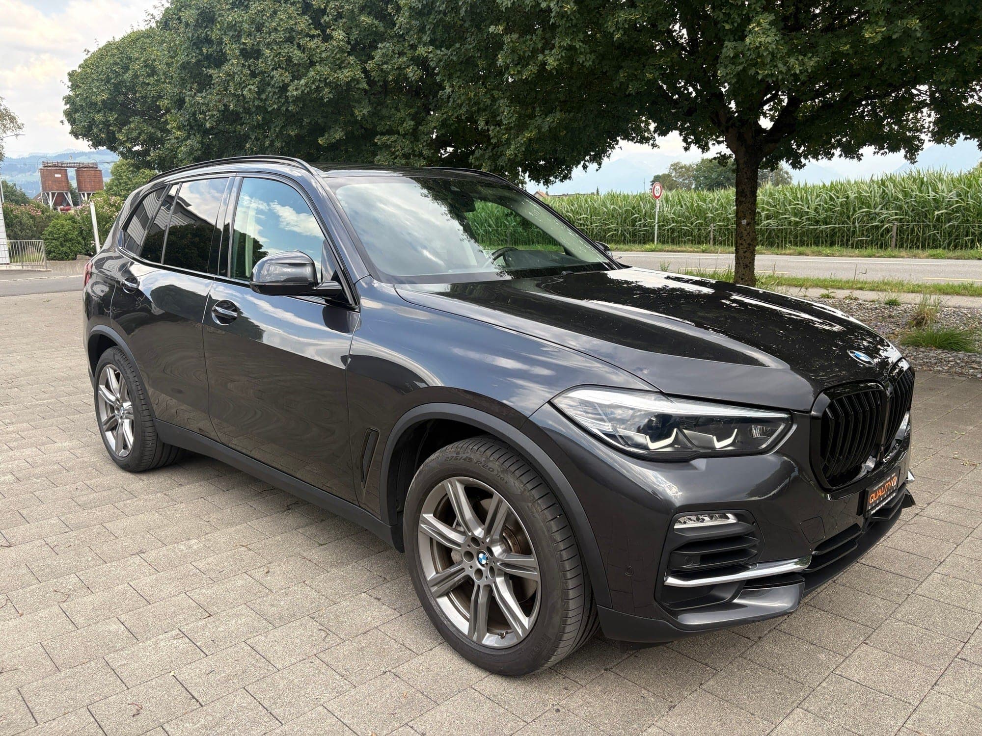BMW X5 BMW X5 xDrive 48V 30d Steptronic