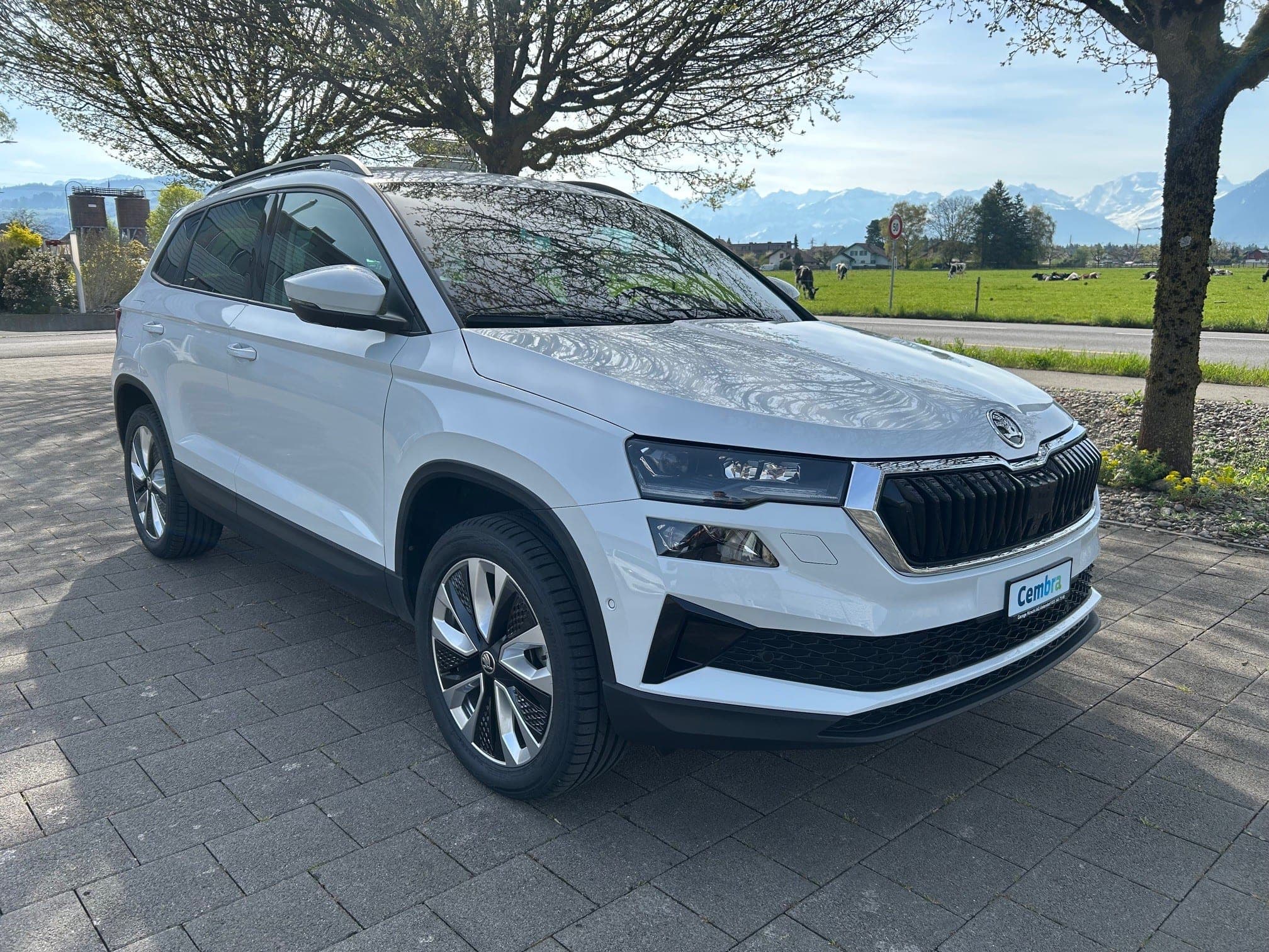 Skoda Karoq SKODA Karoq 2.0 TDI CR Style 4x4 DSG