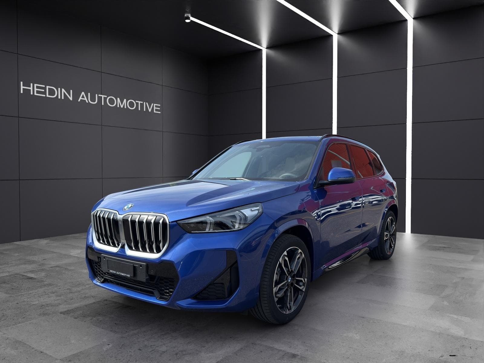 BMW X1 BMW X1 xDrive20d