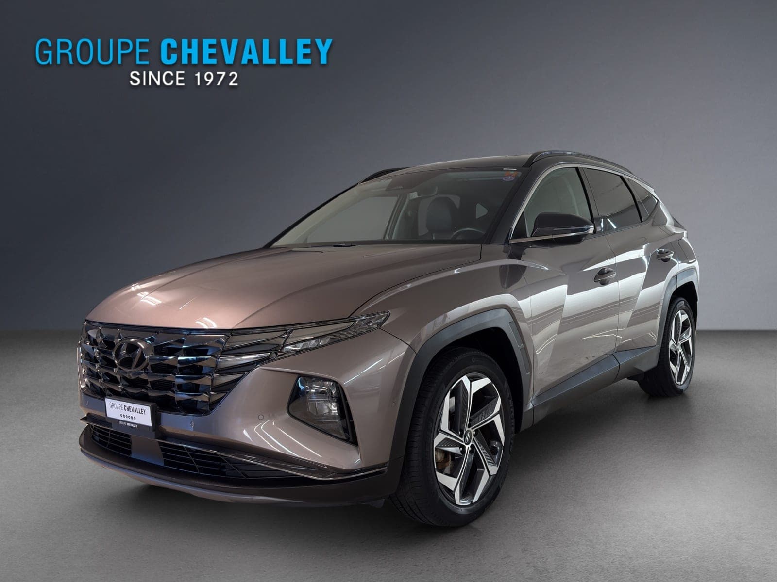 Hyundai Tucson HYUNDAI Tucson 1.6 HEV Vertex 4WD