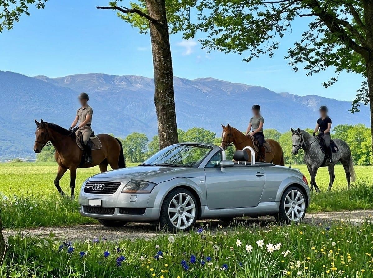 Audi TT AUDI TT Roadster 1.8 T