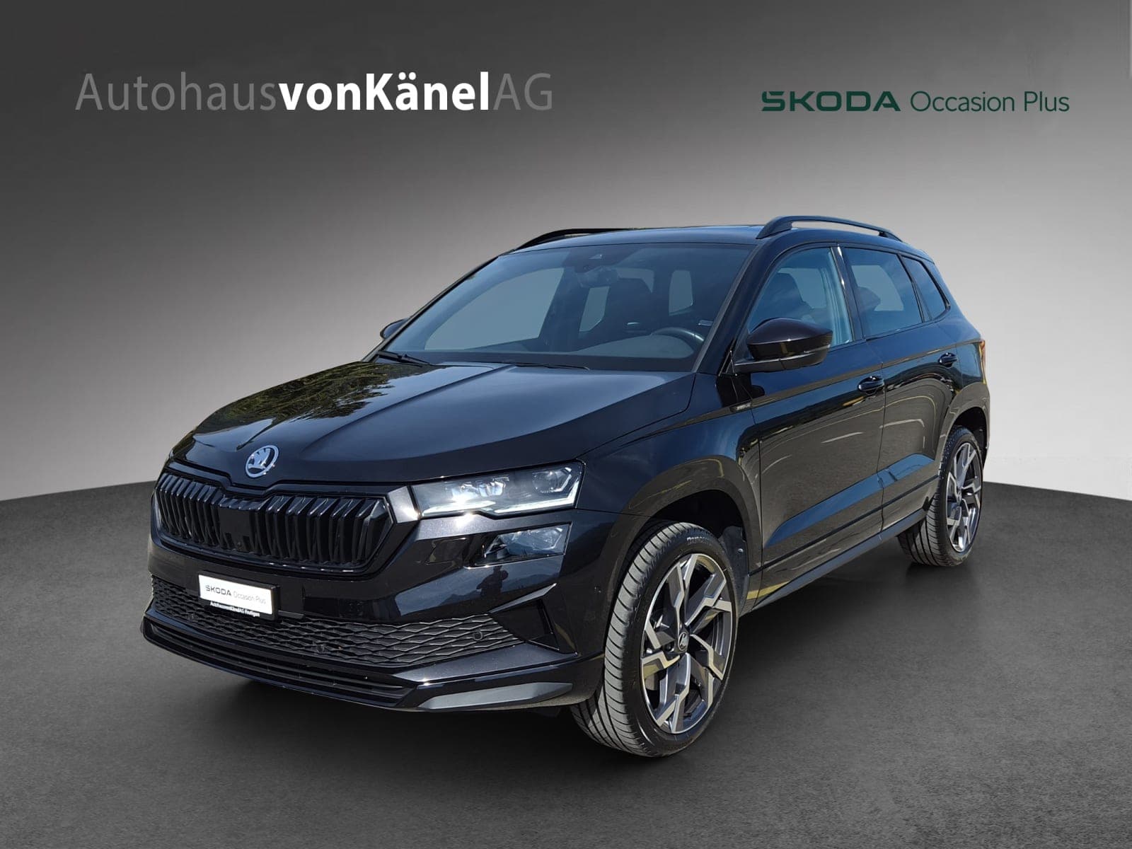 Skoda Karoq SKODA Karoq 2.0 TSI SportLine 4x4 DSG