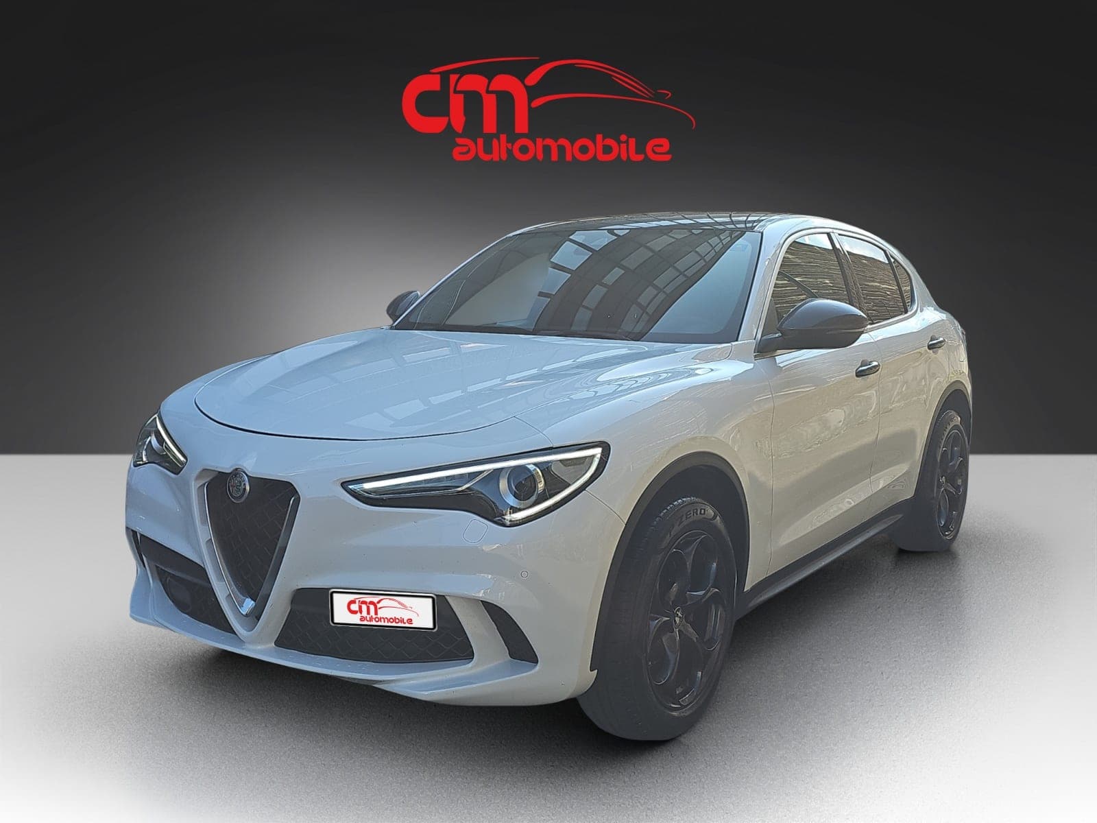 Alfa Romeo Stelvio ALFA ROMEO Stelvio 2.0 Super Q4 Automatic