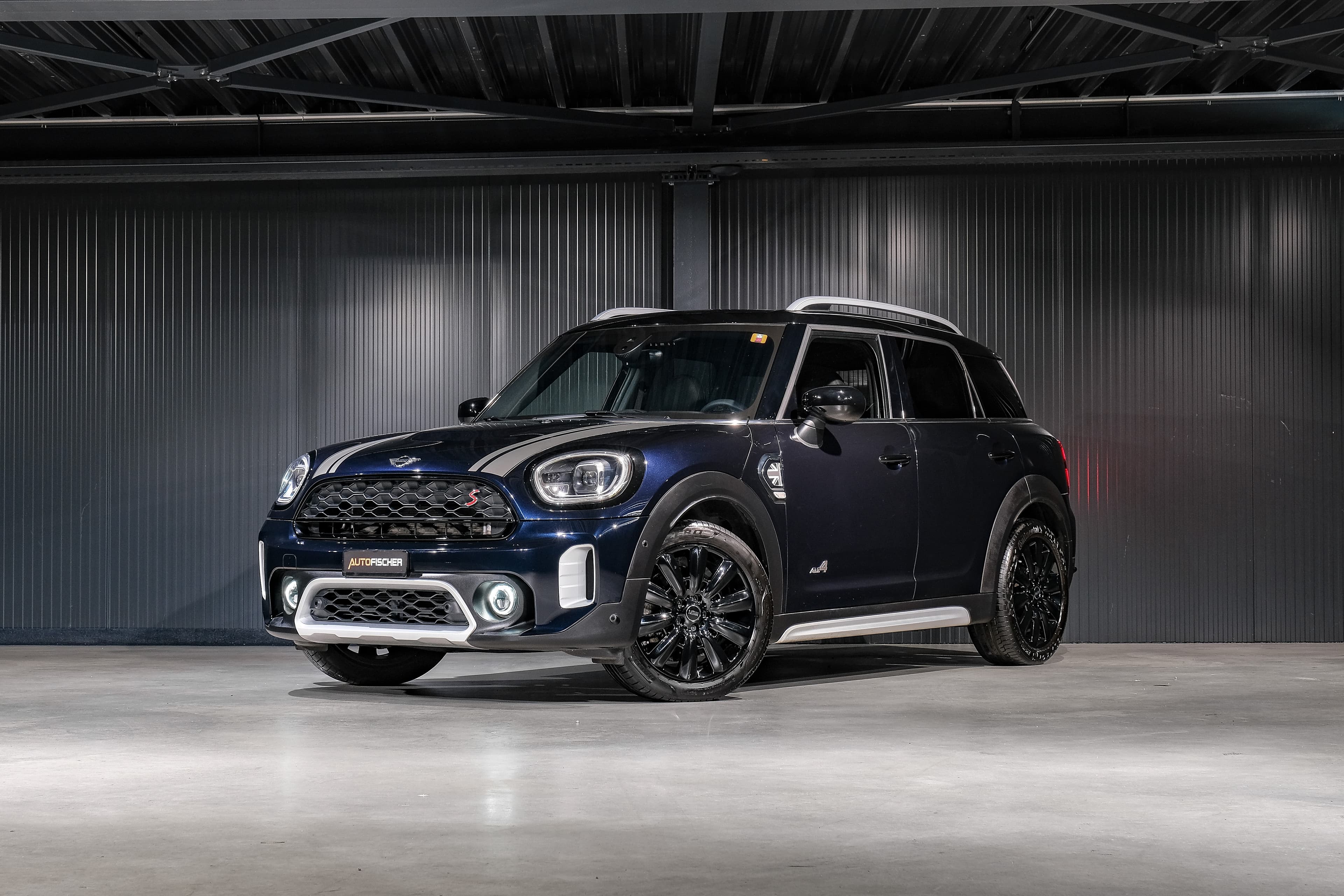 Mini Mini Countryman