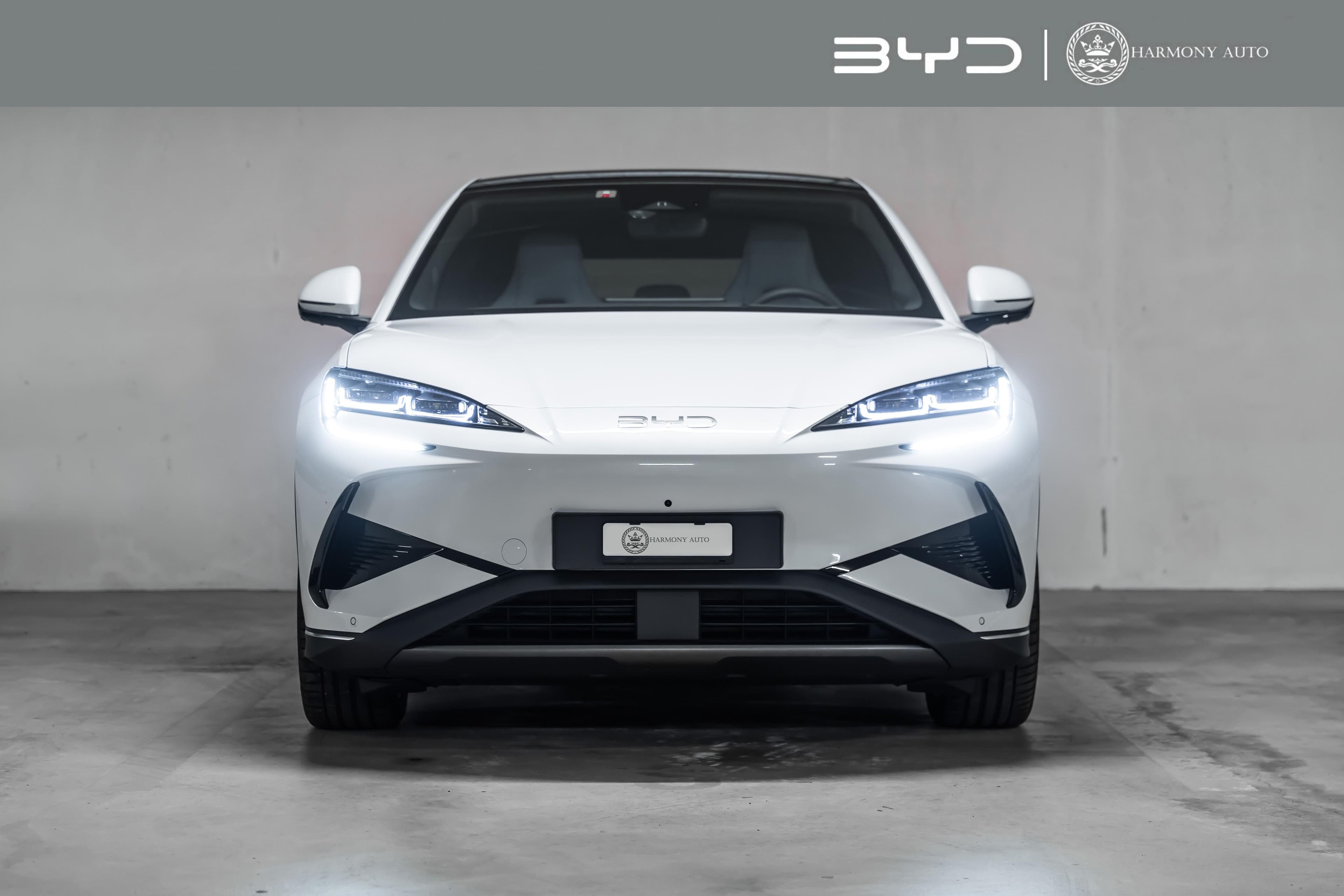 BYD Sealion 7