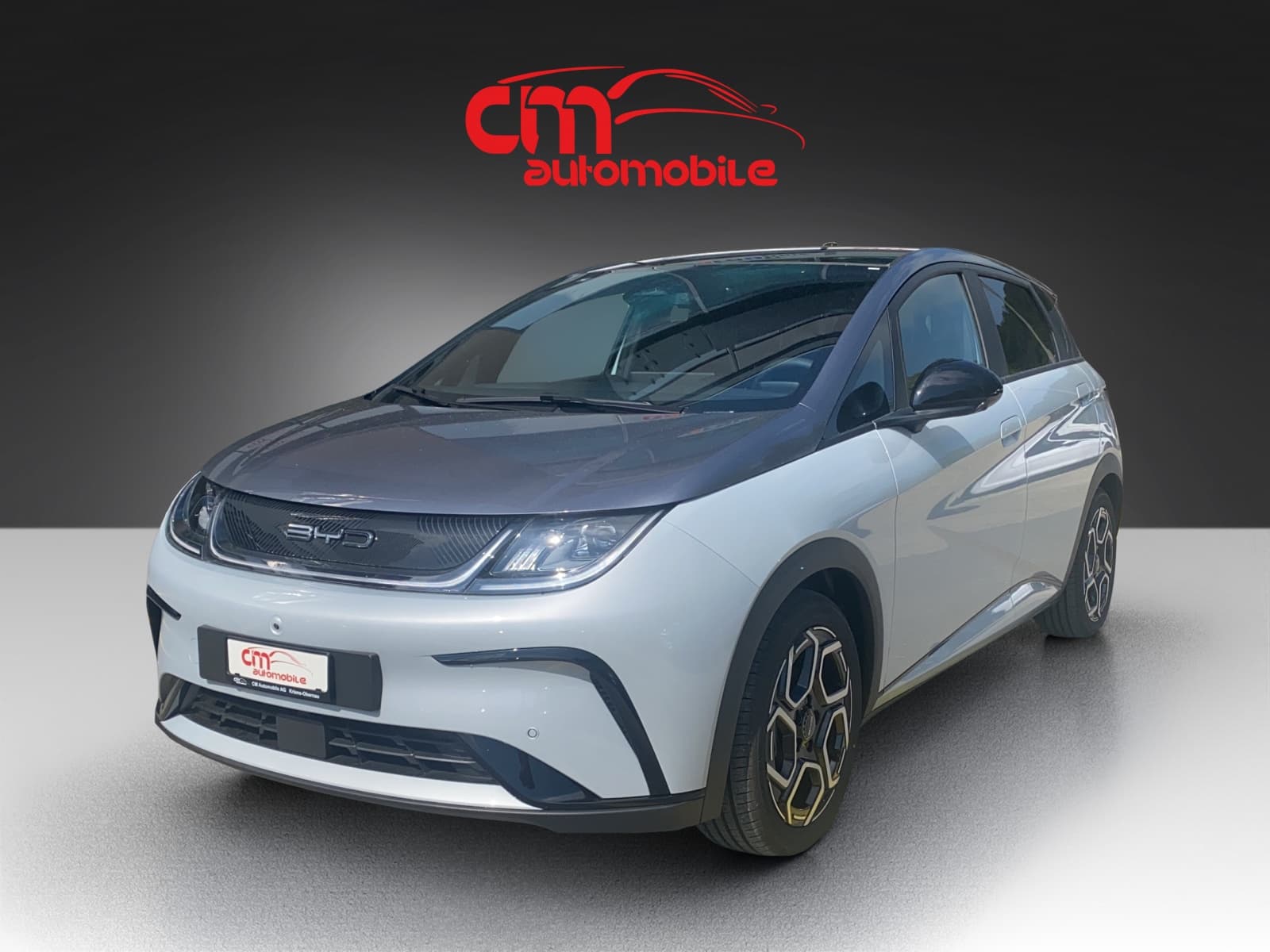 BYD Dolphin