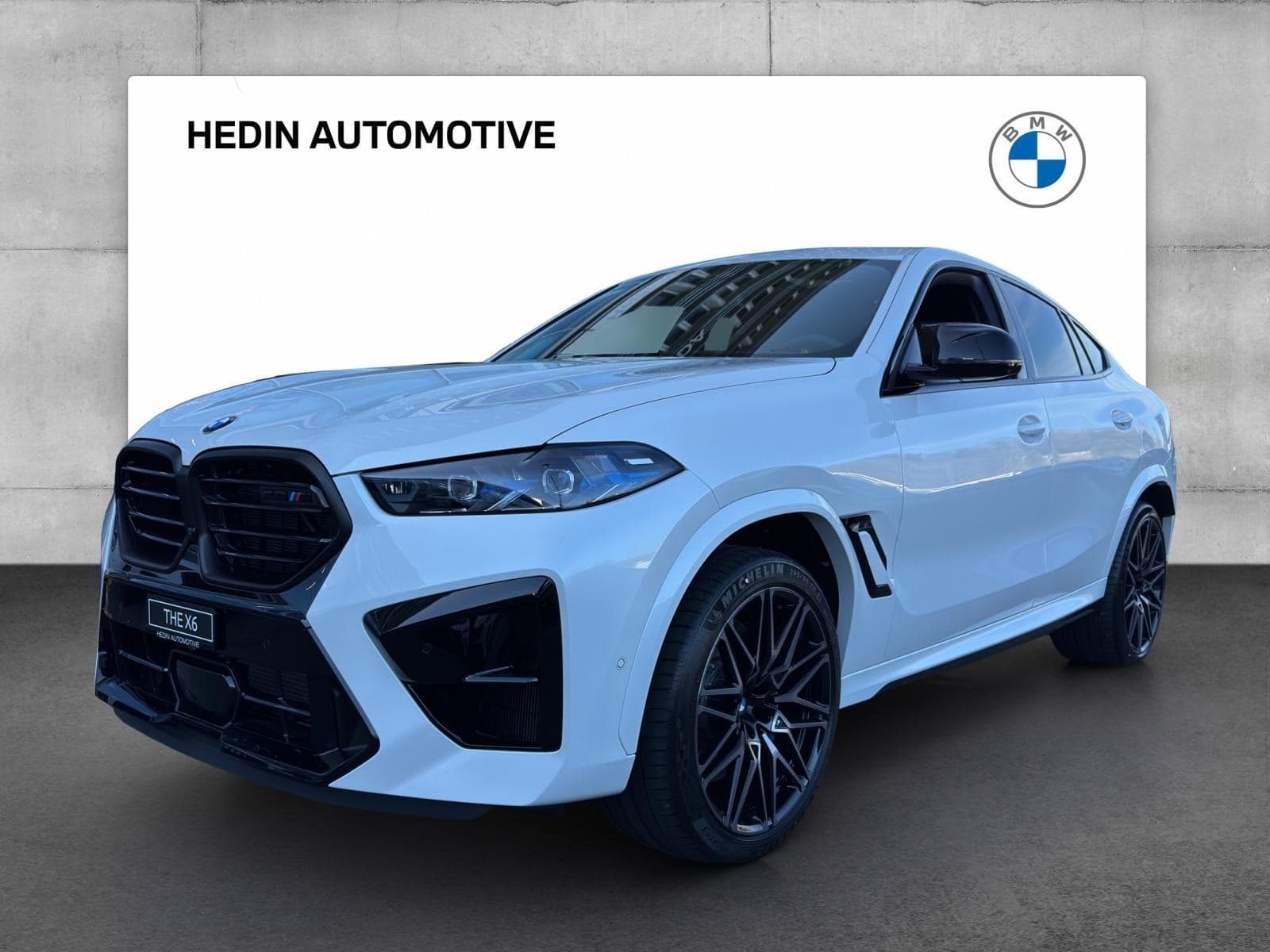 BMW X6