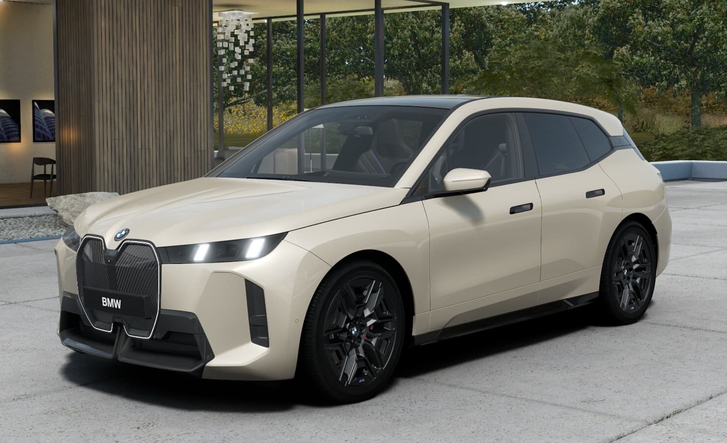 BMW iX