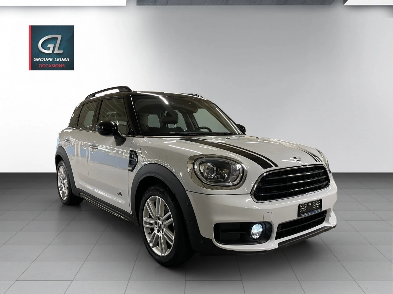 Mini Mini Countryman