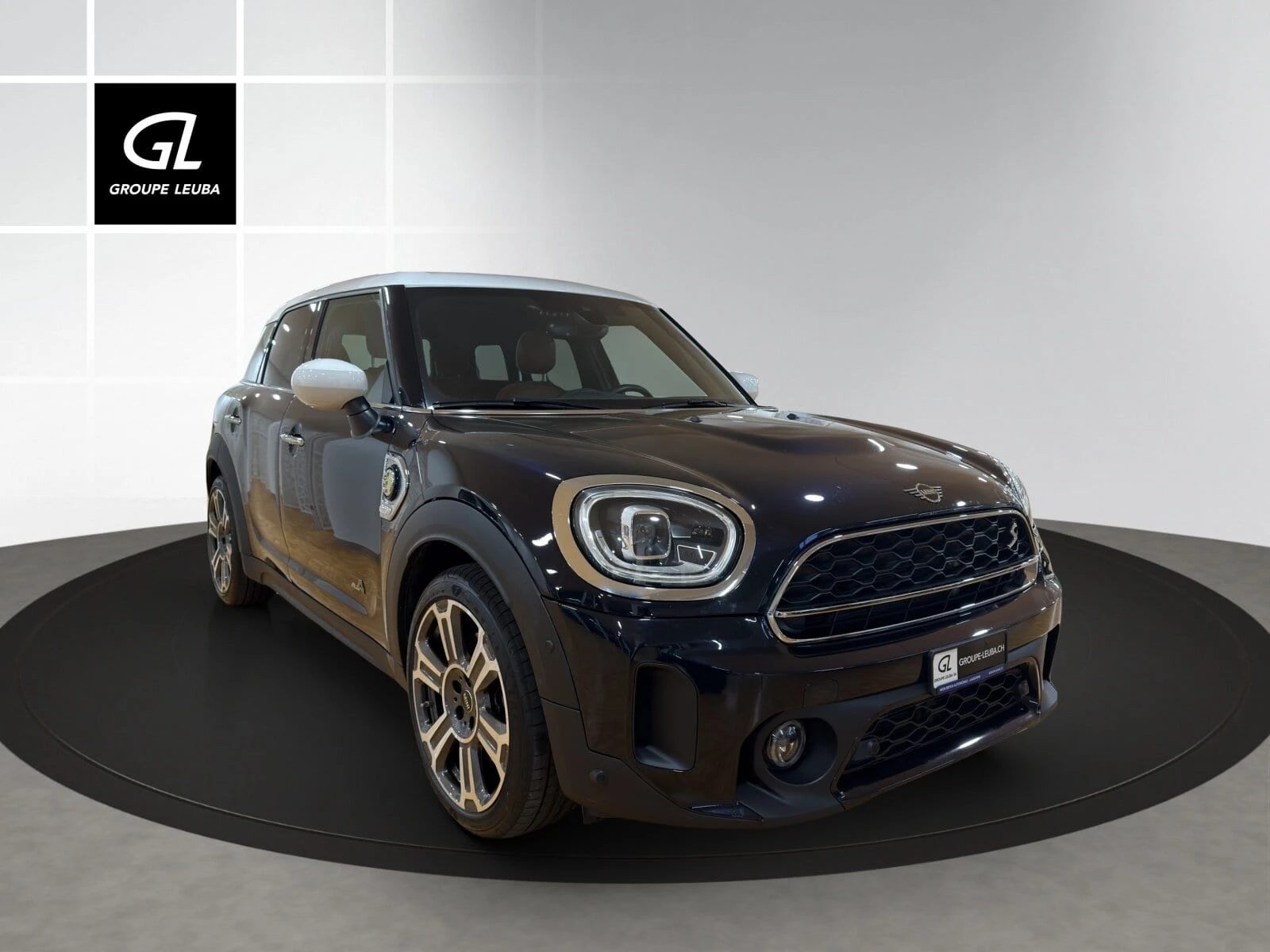 Mini Mini Countryman