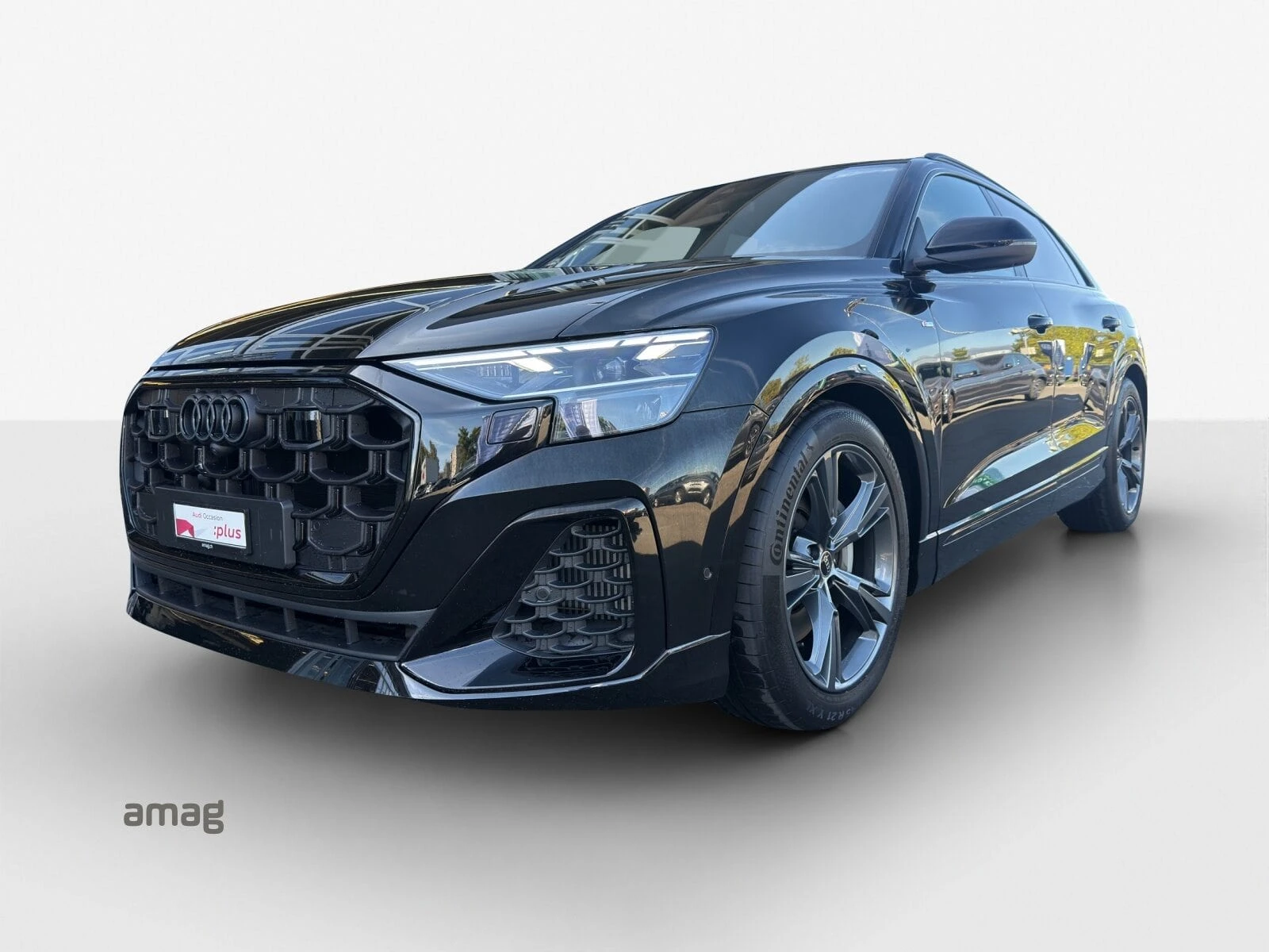 Audi Q8 Q8 SUV TFSI e 290 kW
