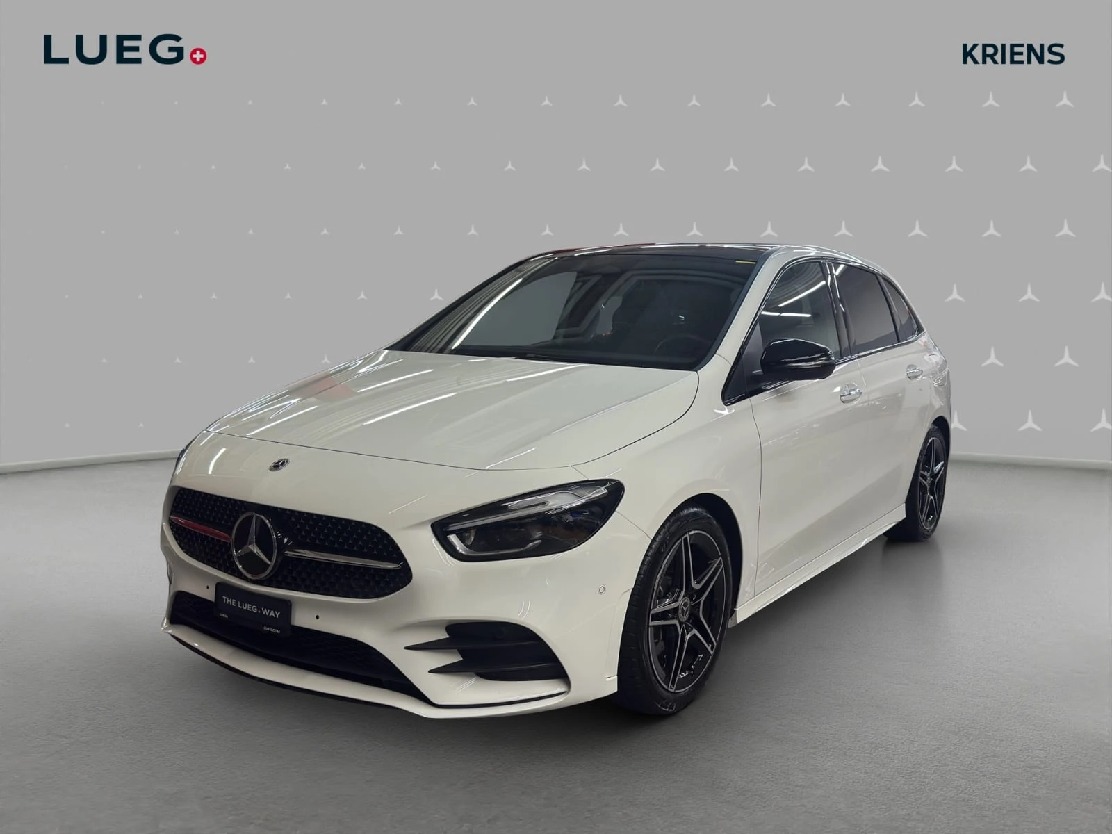 Mercedes-Benz B-Klasse B 250 4M - AMG / Rückfahrkamera / Multibeam LED / Panorama-Dach
