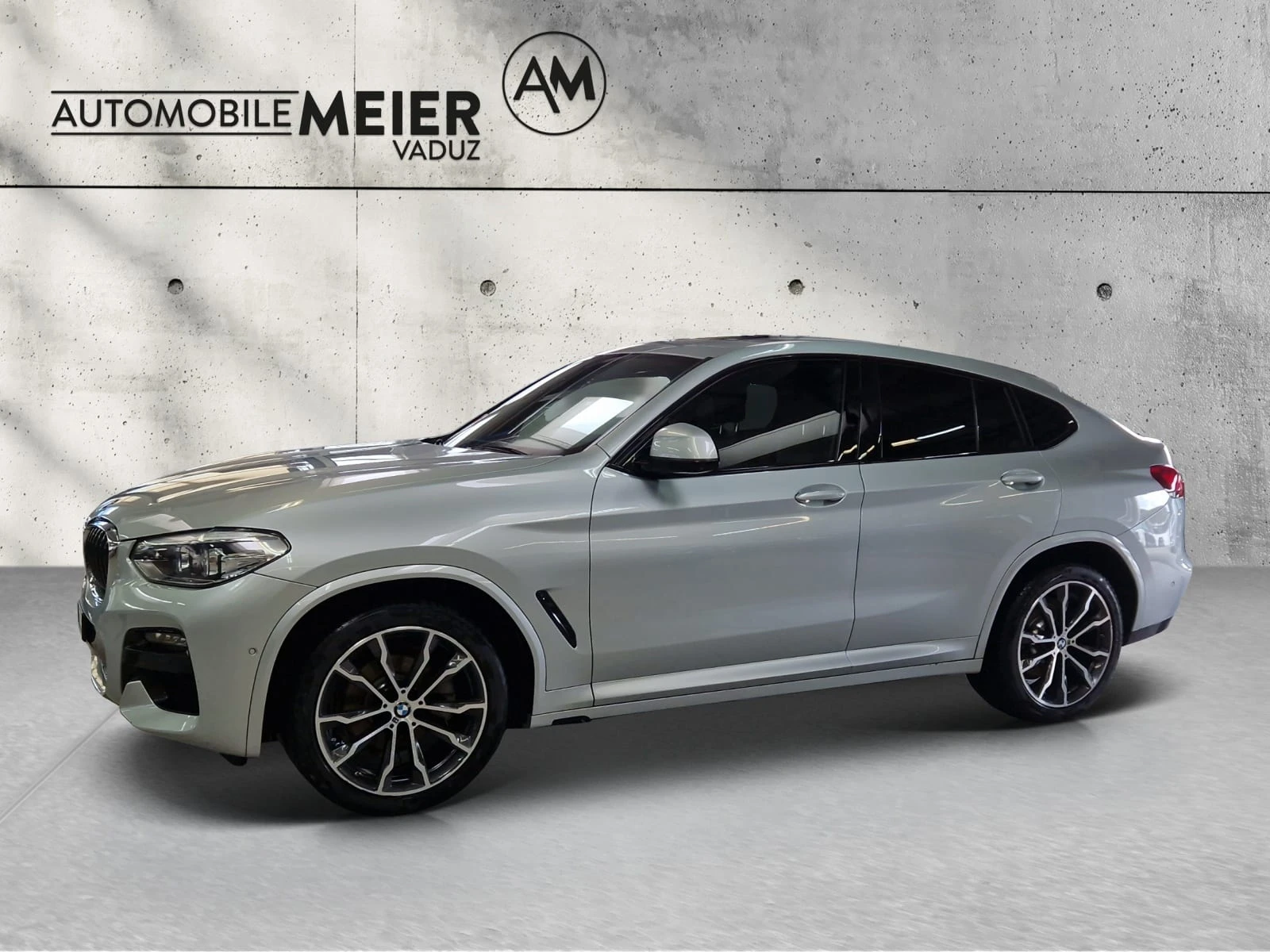 BMW X4 G02 20d xDrive