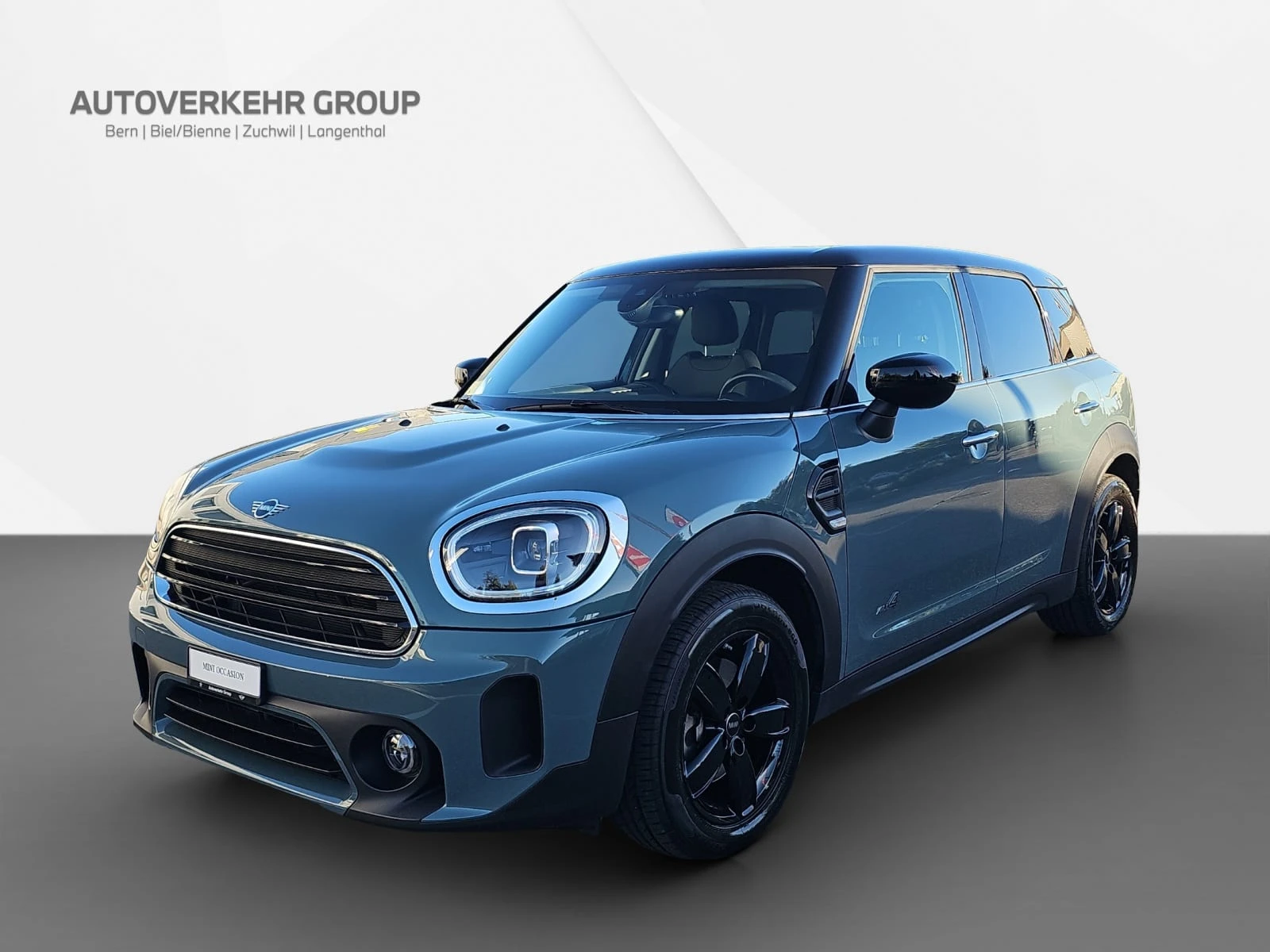 Mini Mini Countryman
