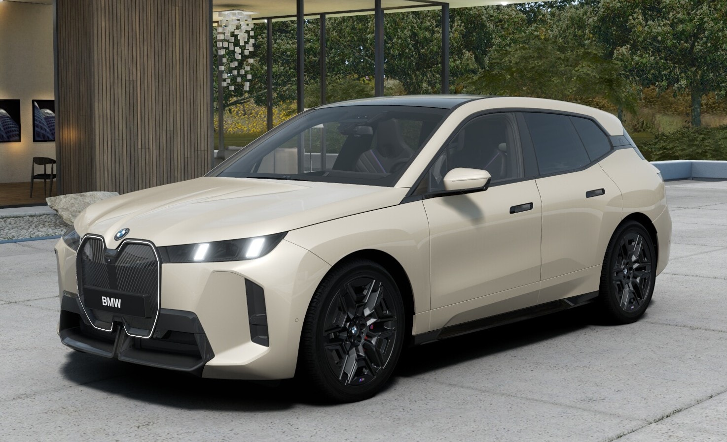 BMW iX